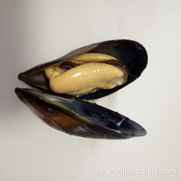 fryst kokt musselskött från högsäsong mars till oktober